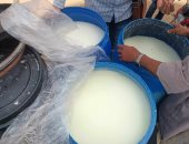 ضبط 800 كيلو لبن فاسد وتحرير 5 محاضر تموينية خلال حملات رقابية بالمنيا