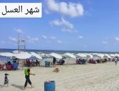 رفع الرايات الخضراء على كل شواطئ الإسكندرية 