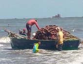 طقس بورسعيد اليوم.. حار نهارا معتدل ليلا والحرارة العظمى تسجل 31 درجة