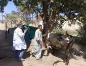 قافلة بيطرية لتحصين وعلاج رؤوس الماشية والدواجن بفايد فى الإسماعيلية