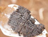 العثور على قطع أثرية من العشب المنسوج عمرها 3000 عام