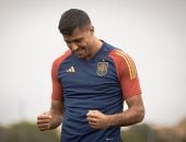 رودري: منتخب إسبانيا يواجه جورجيا لتحقيق الفوز ومجموعتنا فى التصفيات صعبة