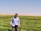 أستاذ بمركز بحوث سخا: زراعة الأرز بالتنقيط تقهر الصحراء في ظل التغيرات المناخية