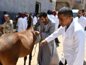 قافلة بيطرية لجامعة سوهاج تفحص وتعالج 550 رأس ماشية بقرية مزاته شرق بمركز دار السلام