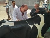 جامعة الزقازيق توجه قافلة بيطرية لقرية كفر العلماء مركز فاقوس بالشرقية