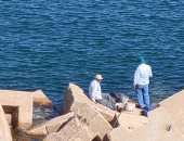 ممارسة الصيد على شواطئ الإسكندرية بعد انكسار موجة الطقس السيئ.. صور