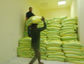 وصول كميات كبيرة من تقاوى القمح للإدارة الزراعية بالقنطرة شرق بالإسماعيلية 