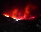 حرائق الغابات تشتعل مجددًا فى الجزائر وإخلاء مناطق مأهولة بالسكان