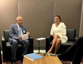 أبو الغيط يدعو سلوفينيا لدعم القضايا العربية خلال عضويتها بمجلس الأمن