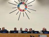 أبو الغيط: حل الدولتين يحتضر.. وهو السبيل الوحيد لإرساء السلام بالمنطقة