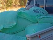 ضبط دقيق مدعم ولحوم ودواجن منتهية الصلاحية فى حملات تموينية بالإسماعيلية