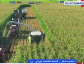 أستاذ اقتصاد زراعى يتوقع وصول المساحة المنزرعة بمصر إلى 10 ملايين فدان 