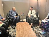 وزير الخارجية يبحث مع نظيرته النيوزيلندية تعزيز العلاقات الاقتصادية بين البلدين