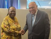 سامح شكري يستقبل وزيرة خارجية جنوب أفريقيا ويبحثان القضايا الإقليمية والدولية