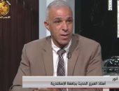 أستاذ العبري الحديث: مصر قدمت أكبر حقنة مخدرة في التاريخ وهي أشرف مروان