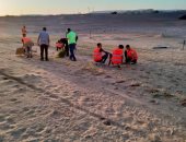 الوادى الجديد تواجه مخاطر زحف الرمال بمبادرة لزراعة الكثبان الرملية.. صور