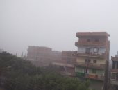 شبورة على قرى ومراكز القليوبية وانتظام حركة المرور بالطرق والمحاور.. صور