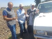 زراعة كفر الشيخ: حملة لمكافحة القوارض عقب حصاد المحاصيل الصيفية 
