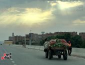 الأرصاد: طقس اليوم مائل للحرارة نهارا.. والعظمى بالقاهرة 30 درجة