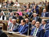 25 لجنة برلمانية.. "النواب" يعقد انتخابات اللجان النوعية للمجلس اليوم
