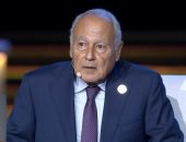 متحدث الجامعة العربية: روسيا ترى أن الأحداث لم تبدأ يوم السبت ونحتاج لإرادة عربية قوية