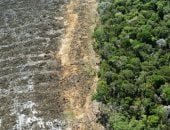انخفاض تدفق نهر برانكو لأدنى مستوياته بسبب الجفاف فى الأمازون.. فيديو