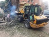 رفع عمود إنارة وشجرة سقطا في حي الجمرك بالإسكندرية وإعادة الحركة المرورية