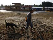 موت الأسماك واختفاء المحاصيل.. جفاف أنهار الأمازون يهدد البرازيل