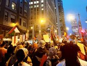 مسيرة حاشدة فى شيكاغو بالولايات المتحدة تضامنا مع الشعب الفلسطيني.. صور