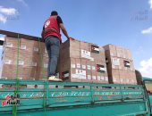 تفاصيل وصول مساعدات قطرية وهندية لمطار العريش مقدمة للشعب الفلسطينى
