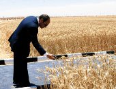 محمد الجالى يكتب:  من «شبه دولة» إلى نموذج مبهر فى الاستقرار .. مصر انهارت فى يناير 2011.. والرئيس السيسى نجح فى ترميم جهاز الأمن الداخلى وإعلاء مبدأ دولة القانون وحقوق الإنسان