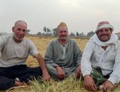 مزارعو الشرقية بعد حصاد الأرز: المحصول وفير وهامش الربح فاق خيالنا