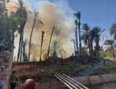 السيطرة على حريق في أشجار نخيل بنجع العرب جنوب الأقصر دون مصابين