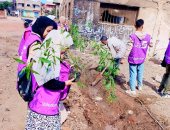 زراعة الأشجار والدهانات ضمن البرنامج البيئى التطوعى بـ10 مراكز شباب بكفر الشيخ