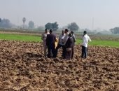 الزراعة تتابع الاستعداد لموسم المحاصيل الشتوية وبدء الدورة الزراعية للقمح