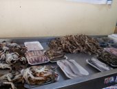 ضبط 1800 كيلو أسماك ولحوم مجهولة المصدر فى كفر الشيخ