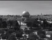 هنا فلسطين من القاهرة.. "عام النكبة" نقطة فاصلة بتاريخ النضال.. فيديو
