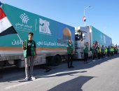 الهلال الأحمر: نقل دفعة المساعدات الرابعة لغزة عبر معبر رفح.. تضم 20 شاحنة