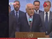 المجموعة العربية بالأمم المتحدة: لو تدخل مجلس الأمن بالأمس لما حدث استهداف المستشفى اليوم