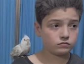 لم يتخل عن أليفه.. فكيف يتخلى عن أرضه؟ أطفال فلسطين يحتضنون حيواناتهم وسط القصف