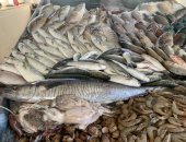 أسعار الأسماك اليوم فى الأسواق.. المكرونة السويسى بـ 57 جنيها 