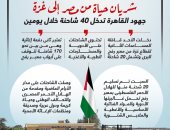 شريان حياة من مصر إلى غزة.. جهود القاهرة تُدخل 40 شاحنة خلال يومين.. إنفوجراف