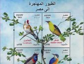 هيئة البريد تصدر بطاقة تذكارية ترصد فيها ظاهرة "الطيور المهاجرة"