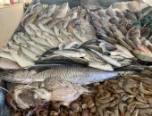 السعر نزل للنص.. انخفاض كبير في سوق السمك بالقاهرة.. فيديو