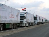 وصول 60 شاحنة من المساعدات الإنسانية إلى الجانب الفلسطيني عبر منفذ رفح