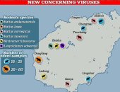علماء صينيون يكتشفون 8 فيروسات جديدة منها سلالة أخرى لفيروس كورونا CoV-HMU-1