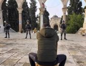 شجاعة أصحاب الأرض.. تداول صور لصمود الشعب الفلسطيني أمام الاحتلال