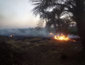 تحرير 54 محضرا بديروط خلال حملات رصد وردع حرق المخلفات الزراعية 