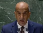 مندوب مصر بالأمم المتحدة: يجب إنشاء دولة فلسطينية على حدود 4 يونيو