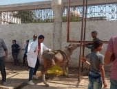 قافلة جامعة سوهاج البيطرية تتجه لقرية برديس وتناظر 210 حالات مجانا.. صور